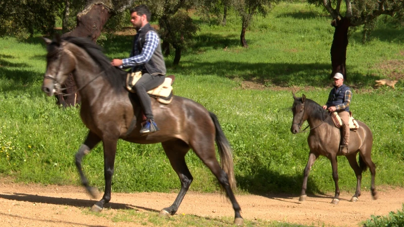 Sierra de Córdoba - Sendero