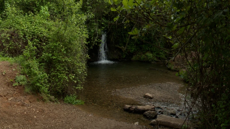 Sendero fluvial Arroyo Bejarano y Baños del Popea