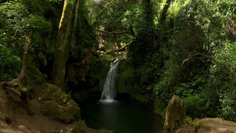 Fuente del Elefante