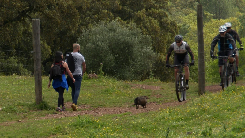 Bicicleta en la Sierra de Córdoba